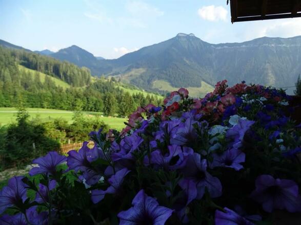 Blumen v Balkon mit Schmitten
