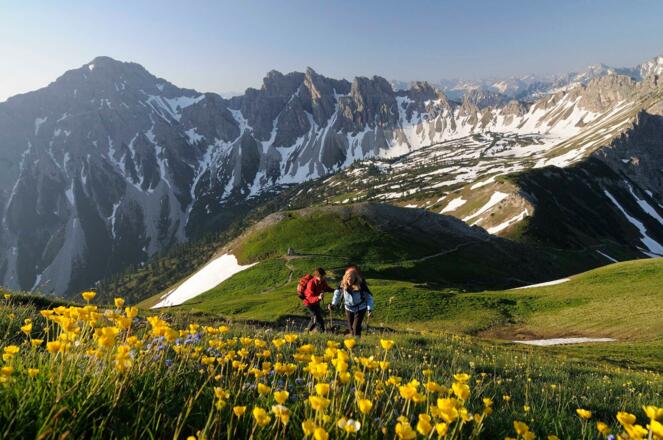 Bergfrühling im Tannheimer Tal