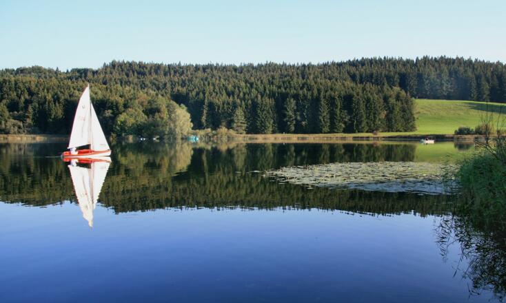 Segelboot und Seerosen