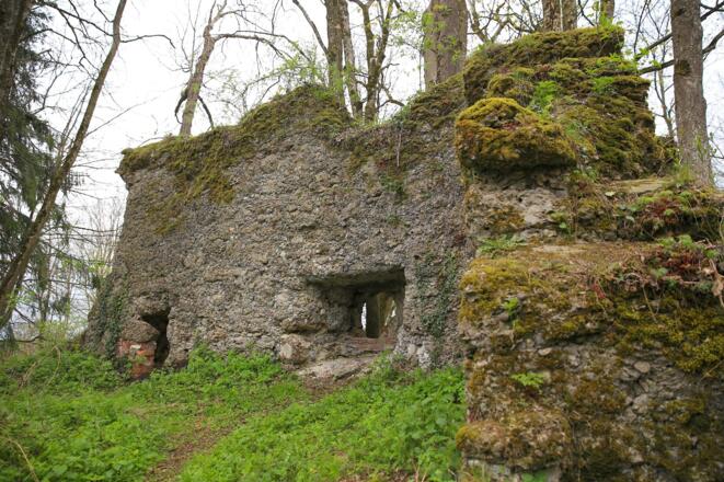 6-etappe_ruine-rothenstein_01_klein