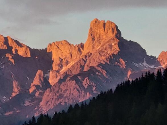 Bischofsmütze