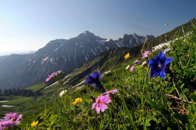 Wandern Tannheimer Tal