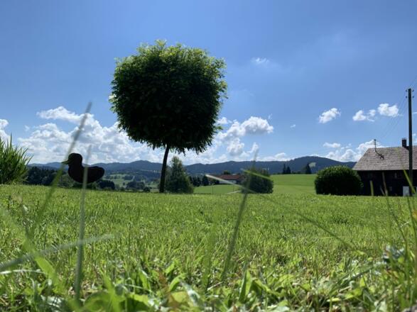 Im Gras liegen und den Urlaub genießen...