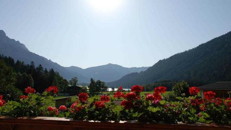 Balkon mit Traum-Aussicht
