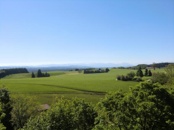 Panoramablick vom Römerturm
