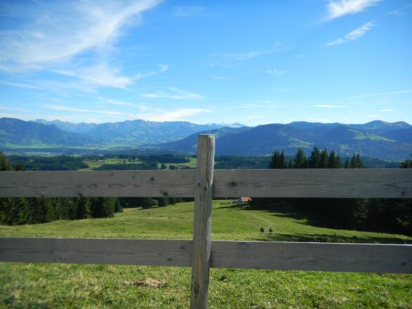 Herbst_2010_071010 003