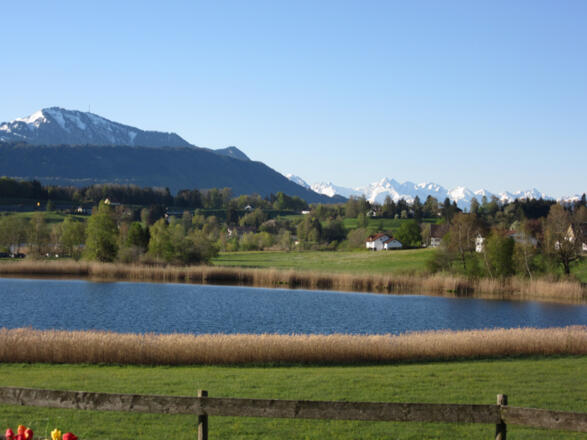 Bergblick Grünten