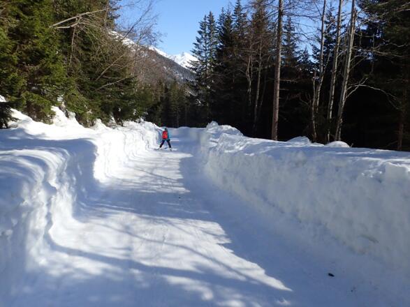 Ausgefräste Straße zur Stockerhütte