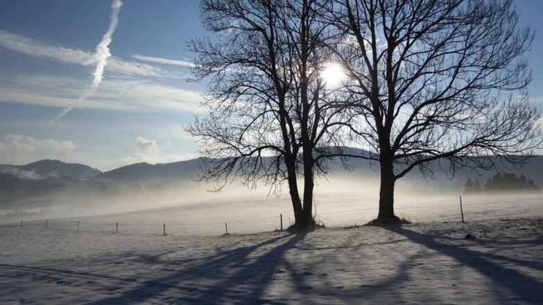Bei uns im Winter