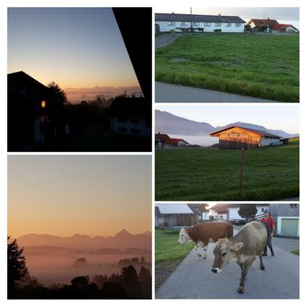 Im Morgengrauen