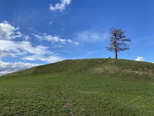 Grillenparz-Trail Kirchdorf