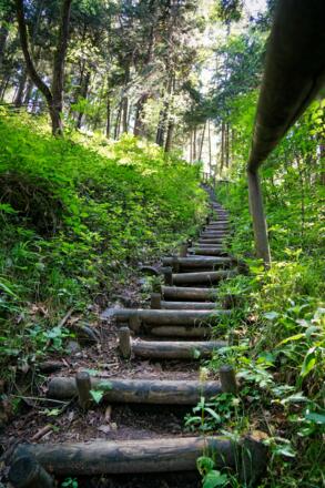 Salinenteppe Richtung Herrenalm