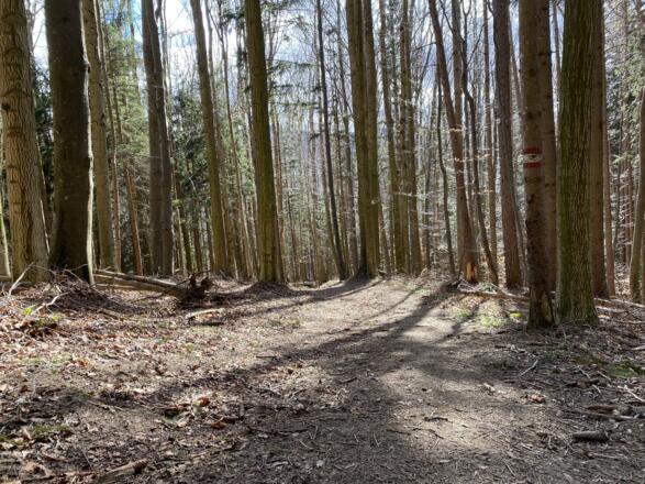 Grillenparz-Trail Kirchdorf