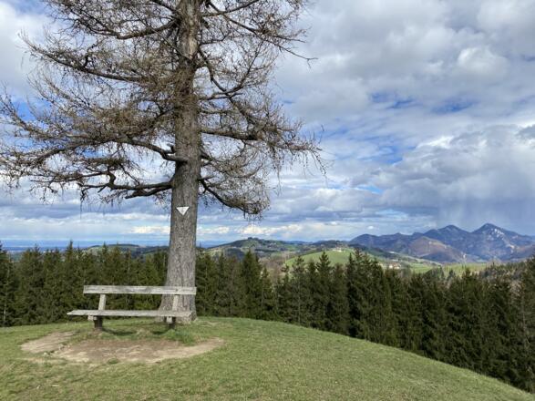 Grillenparz-Trail Kirchdorf