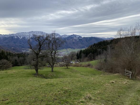 Grillenparz-Trail Kirchdorf