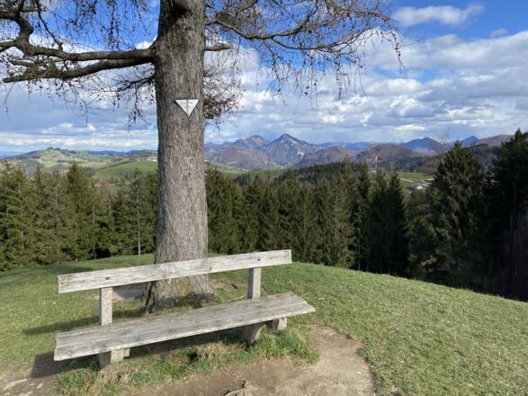 Grillenparz-Trail Kirchdorf
