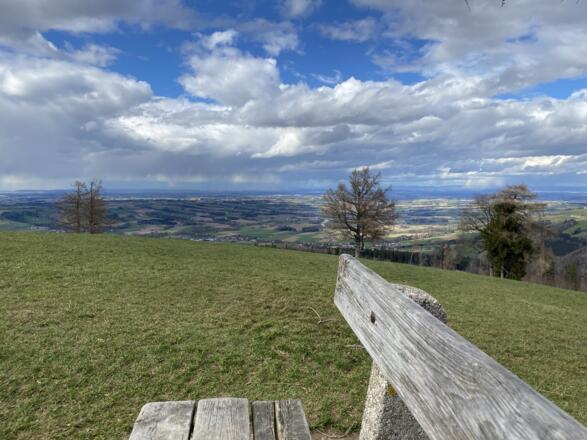 Grillenparz-Trail Kirchdorf