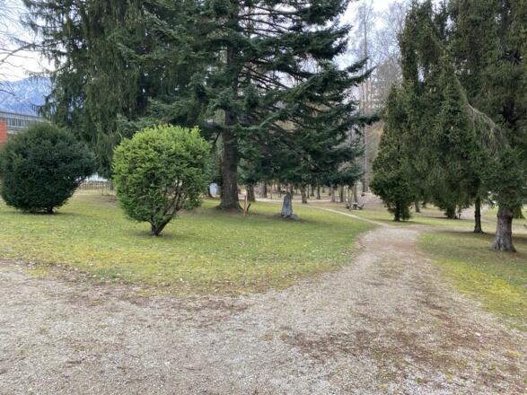 Grillenparz-Trail Kirchdorf
