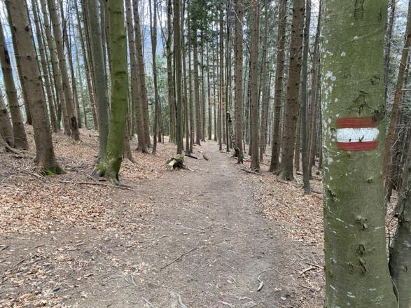 Grillenparz-Trail Kirchdorf