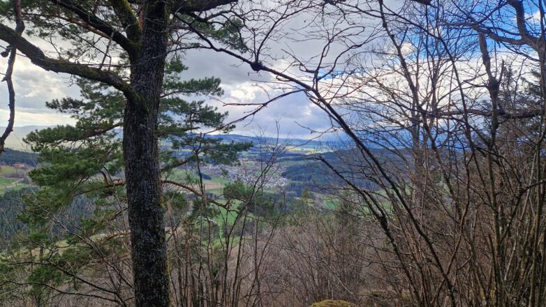 Ausblick am Grensberg