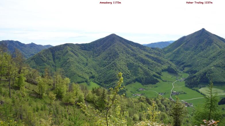 Hoher Trailing von Osten,  Übergang Rammelspitz-Eibling