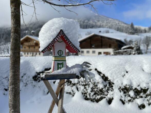 Winter
