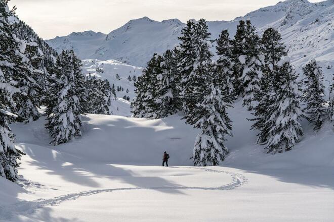 Winter