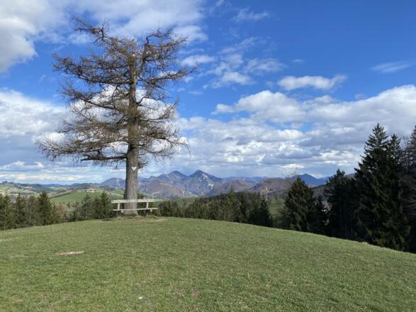 Grillenparz-Trail Kirchdorf