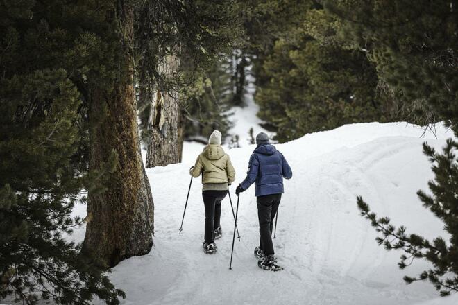 Zirbenwald winter