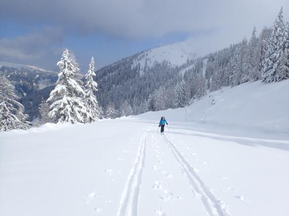 Neuschnee an einem 1. Mai
