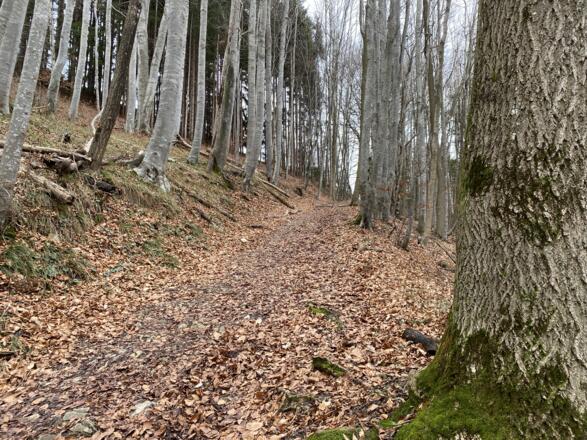Grillenparz-Trail Kirchdorf