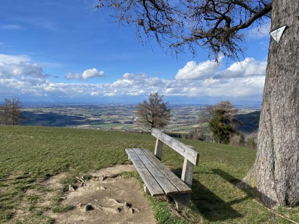 Grillenparz-Trail Kirchdorf