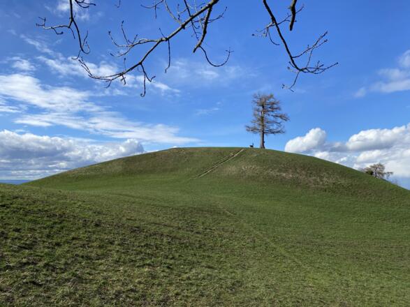 Grillenparz-Trail Kirchdorf