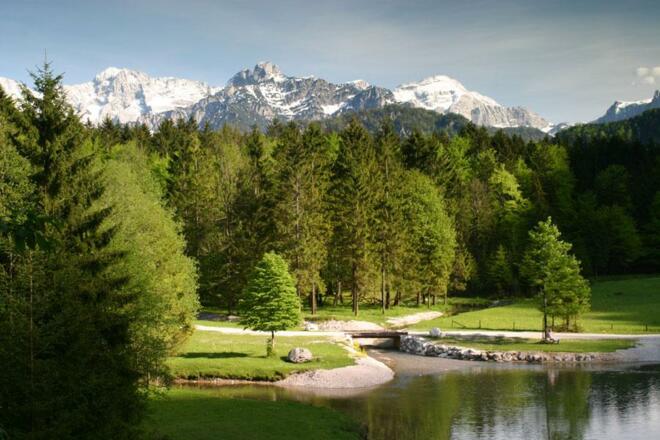 Almsee Winter