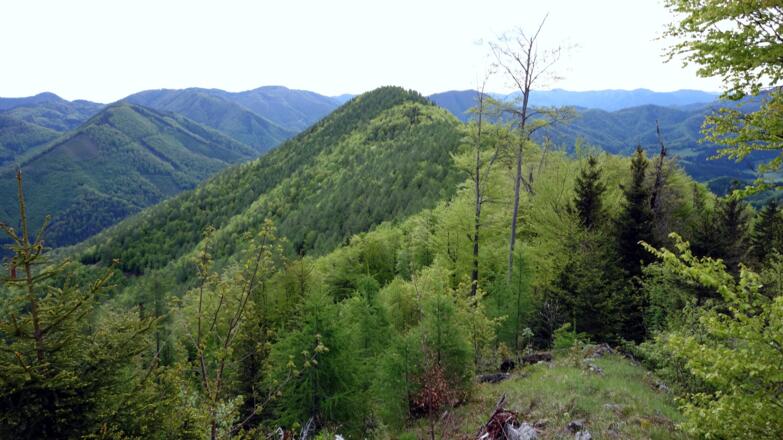 Niederer Trailing vom Abstieg ~970m gesehen.