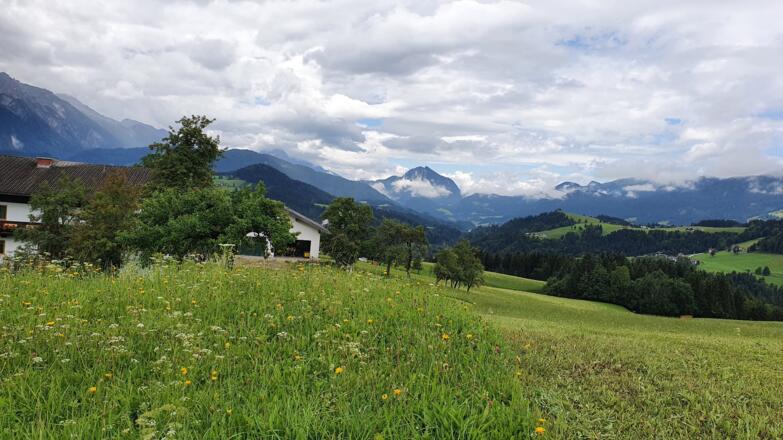 Hallseiten