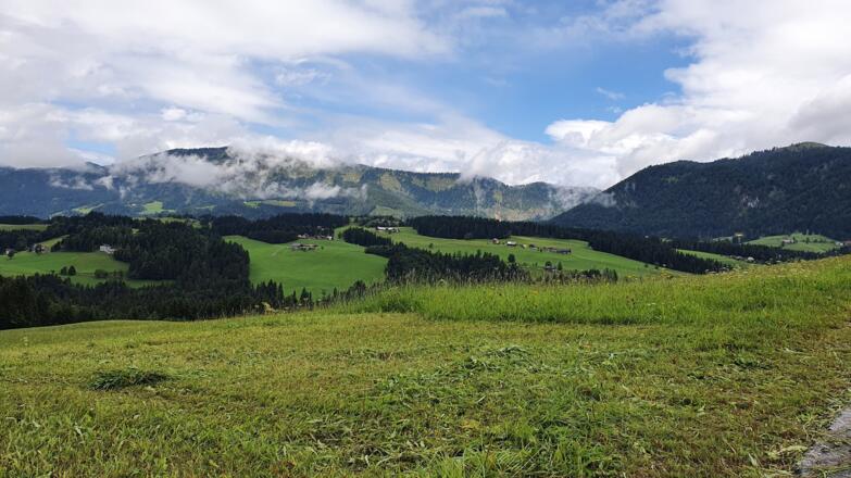Hallseiten