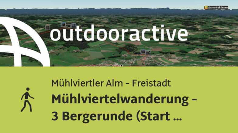 Wanderung in der Region Mühlviertler Alm - Freistadt: Mühlviertelwanderung - ...