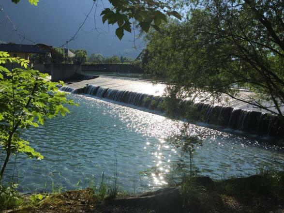 Almsee-