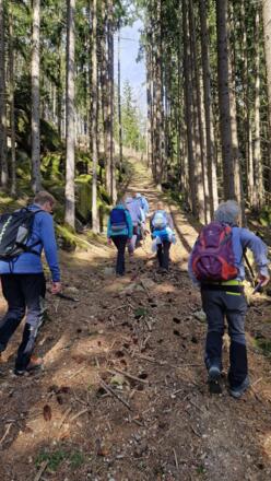 Aufstieg am Grensberg