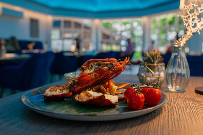 Hummer Impression Restaurant Blu