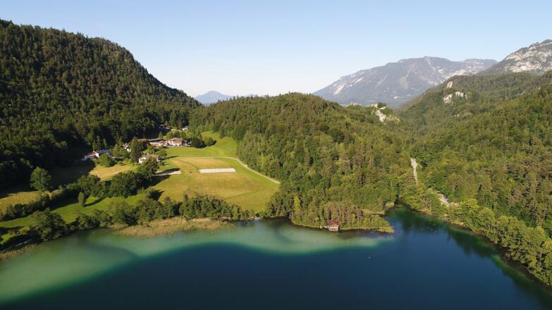 Thumsee