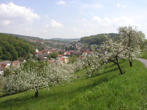 Blick auf Leidersbach