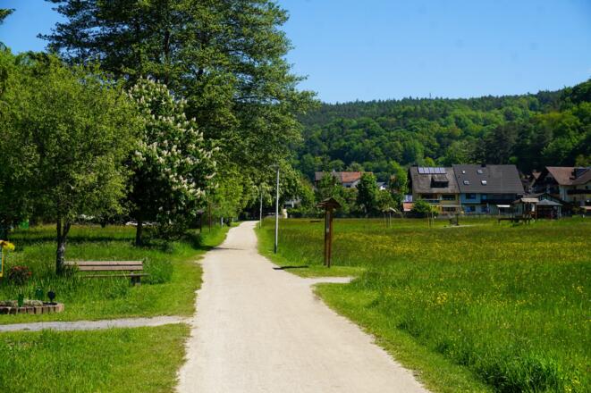 Rad- und Fußweg am Kurparksee