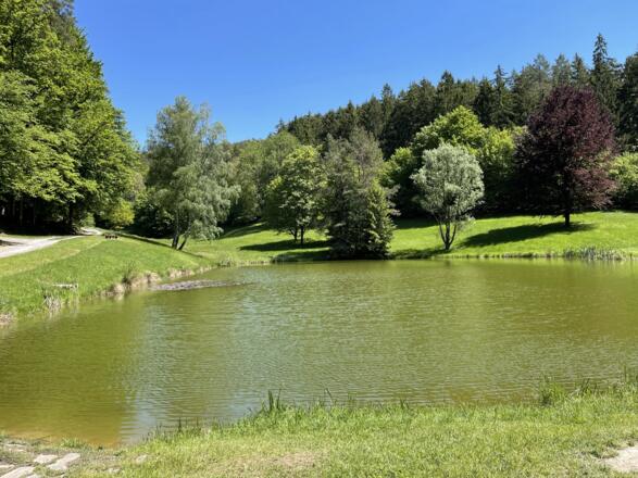 Waldsee