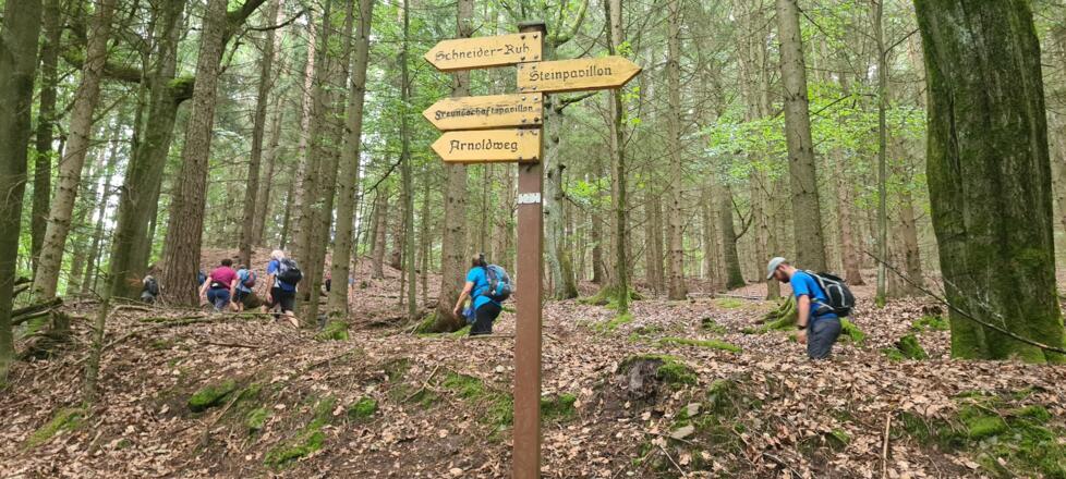 Wanderung am Muppberg
