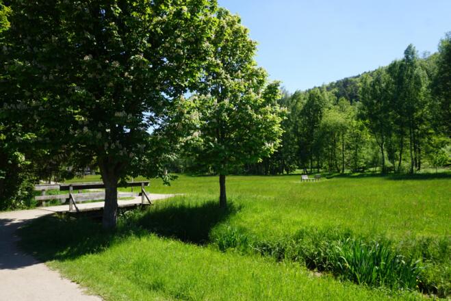 Wiesenweg zum Kurparksee