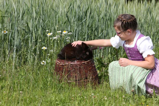 Streicheln erwünscht