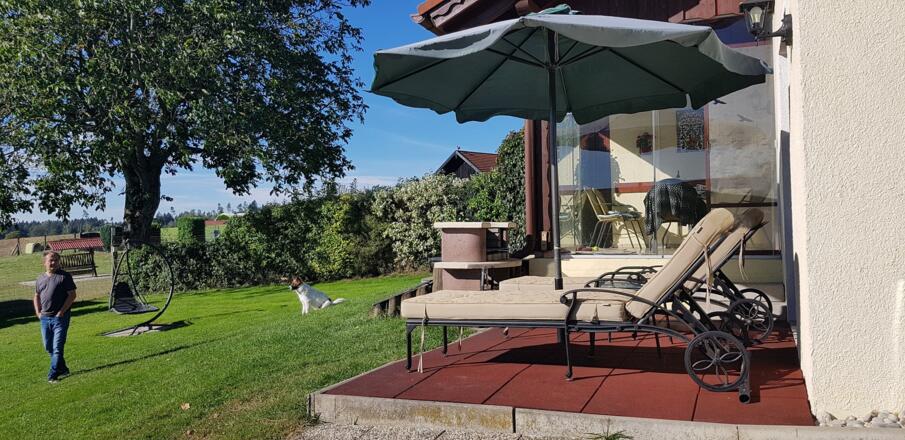Blick in den Garten
