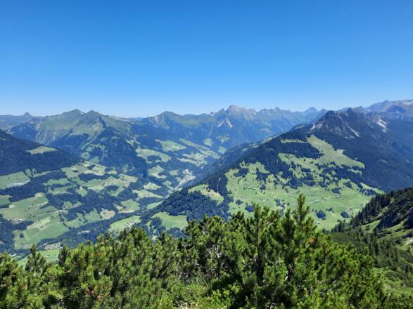 Ausblick auf den Biosphärenpark Großes Walsertal